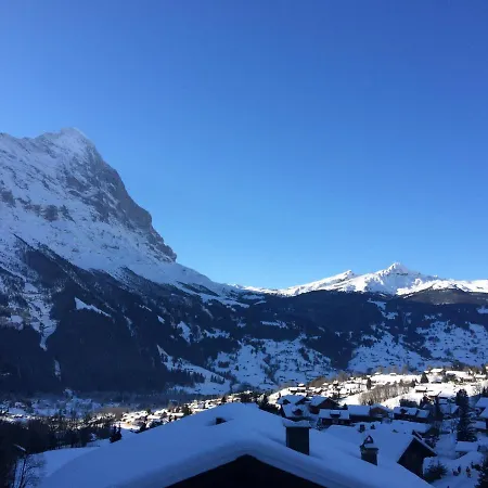 公寓 Grindelwald-sunneblick 格林德瓦