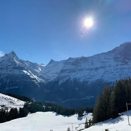 Daire Grindelwald-sunneblick Grindelwald