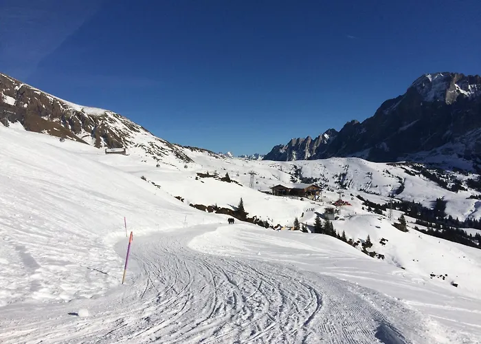 Апартаменты Grindelwald-sunneblick Гриндельвальд