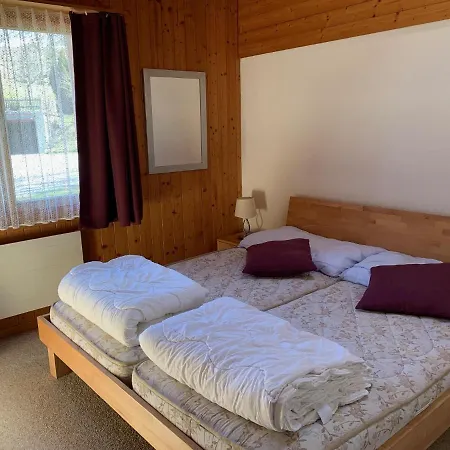 Grindelwald-sunneblick شقة *