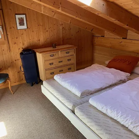 Grindelwald-sunneblick شقة *