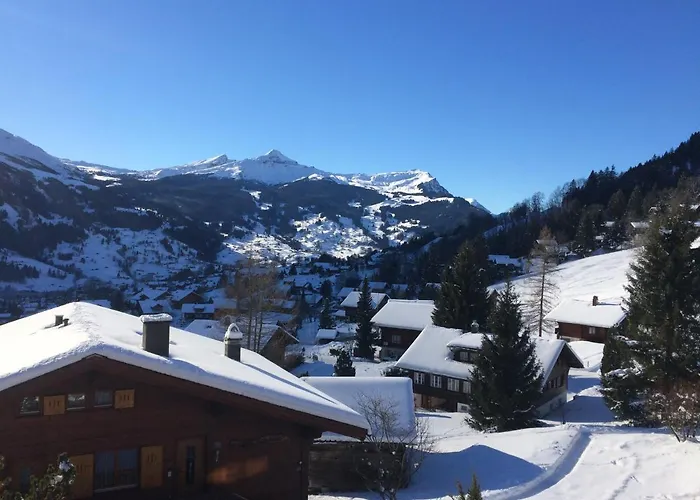 Grindelwald-sunneblick * جريندلوالد