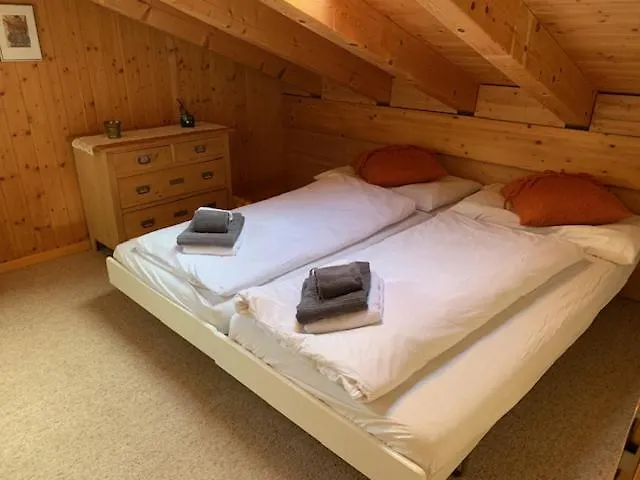 Grindelwald-sunneblick شقة *